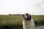 Bild2