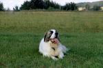 Bild3