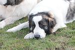 Bild7