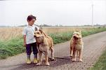 Bild8