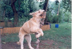 Bild1