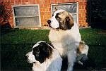 Bild3
