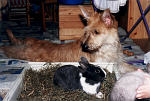 Bild4