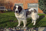 Bild8