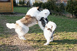 Bild9