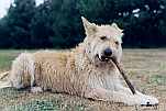 Bild7