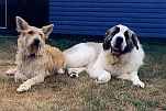 Bild9