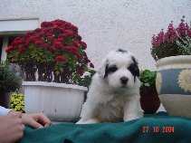 Bild1