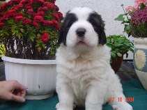 Bild4