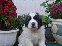 Bild9