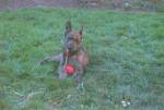 Serie7 Bild1