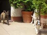 Serie7 Bild8